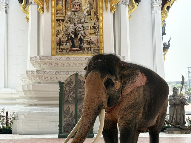 Bạn có thể dành cả ngày ở đây