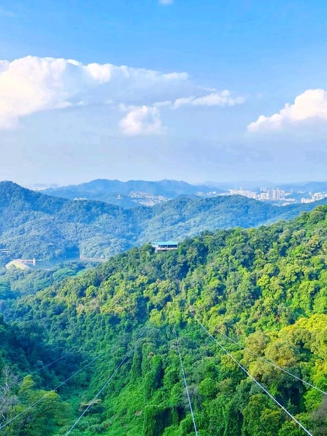 Exploring Baiyun Mountain 🌄