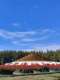 รีวิว วัดพระธรรมกาย 