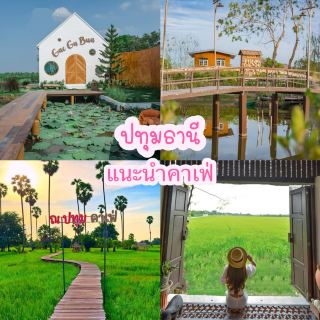 แนะนำคาเฟ่ปทุมธานี