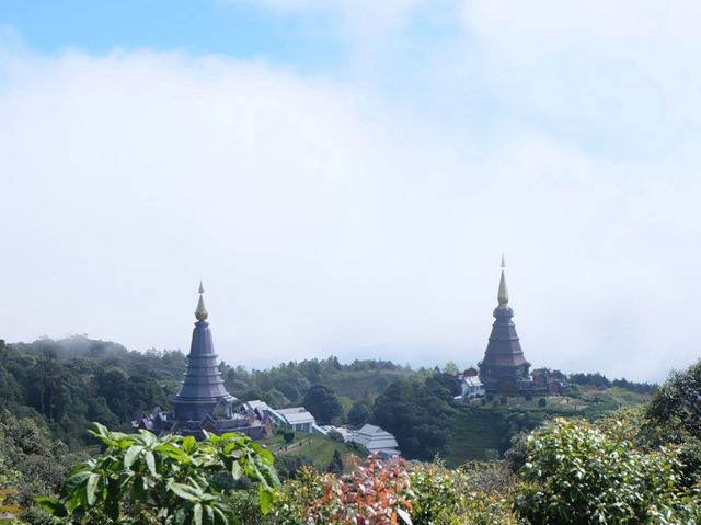 พาไปศึกษาธรรมชาติกันที่ 🌳 กิ่วแม่ปาน