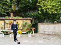 Street Performances in Venice: A Honeymoon Delight