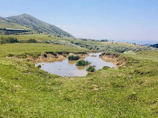 Yangmingshan's Qing Tian Gang: Nature's Serenity