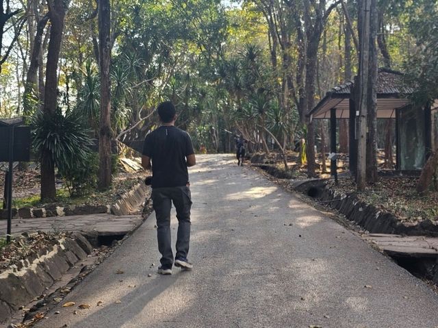 ที่เที่ยว จ.เลย