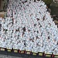 🇯🇵【神奈川県】狐がいっぱい！佐助稲荷神社⛩️