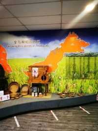 Paddy Gallery in Sekinchan