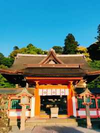 久留米の絶景スポット！高良大社💫