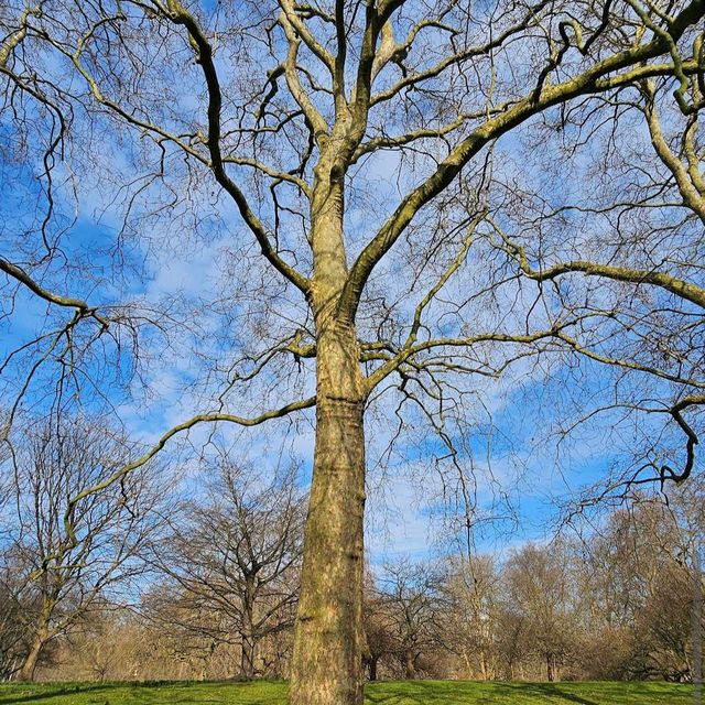 St James’s Park (London)