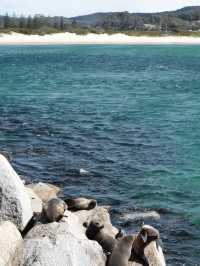 A Coastal Escape to Narooma