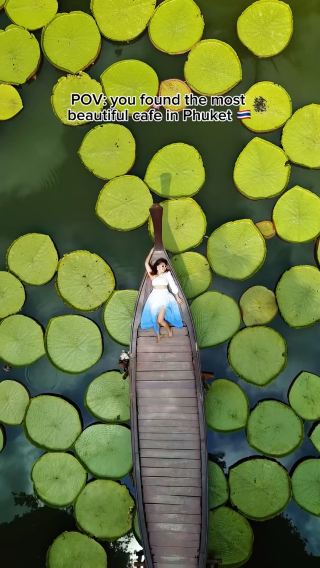 LOUNGING ON THE LOTUS IN PHUKET, THAILAND 🇹🇭