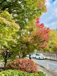 【日本山梨】河口湖美景、天上山下紅葉