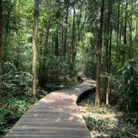 A visit to Kandawgyi National Gardens in Pyin Oo Lwin