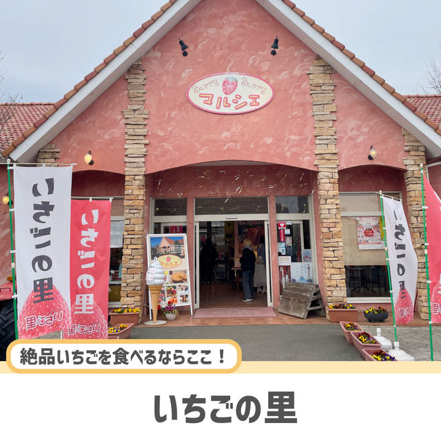 【栃木】タイムリミット15秒の絶品パンケーキ🥞