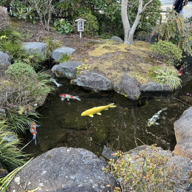  鎌倉の西方極楽浄土『長谷寺』