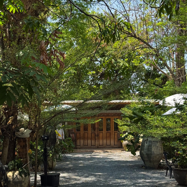 คาเฟ่กลางสวนสุดชิล บรรยากาศสุดร่มรื่นดีต่อใจ กทม 🍵