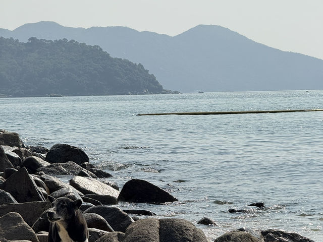香港也有能夠放鬆身心靈的地方！南丫島半日遊推薦