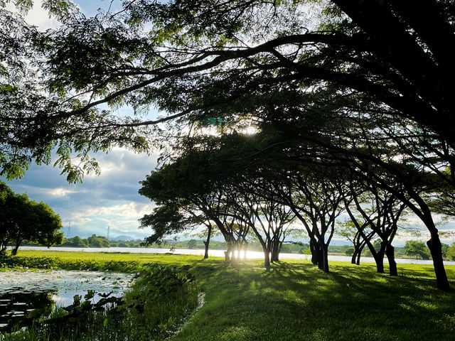 สวนวลัยลักษณ์ 🌳🍃