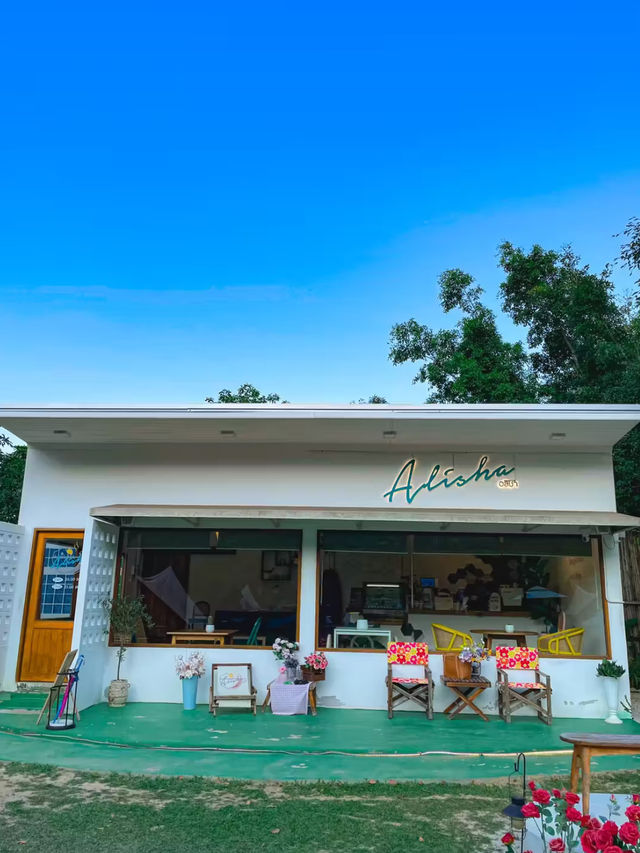 Alisha | คาเฟ่ติดม.ราชภัฏนครศรีฯ