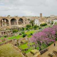 Roots of Rome at Palatine Hill