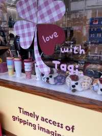 Tagi.🍎: The Shanghai Store That’s Redefining Cute & Creative Lifestyle