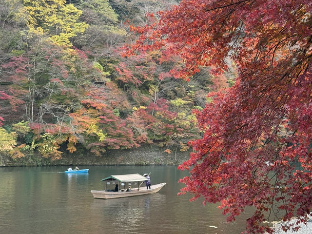 ชมใบไม้เปลี่ยนสี ริมแม่น้ำที่ Arashiyama