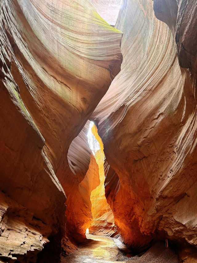 Witness the breathtaking beauty of China’s natural landscapes