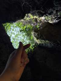 宇流麻市必去景點|Cave Okinawa
