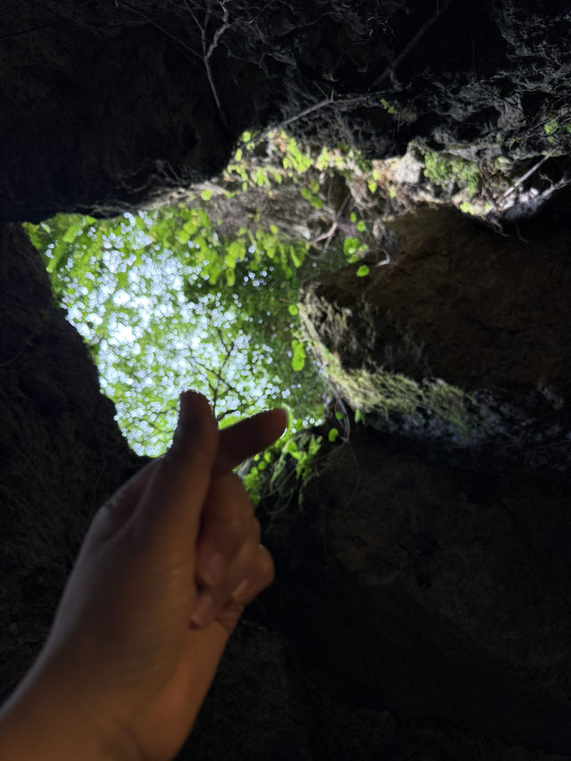 宇流麻市必去景點|Cave Okinawa