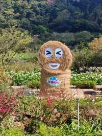 遠離塵囂忘憂好去處：陽明山苗榜海芋花園野菜餐廳🌿