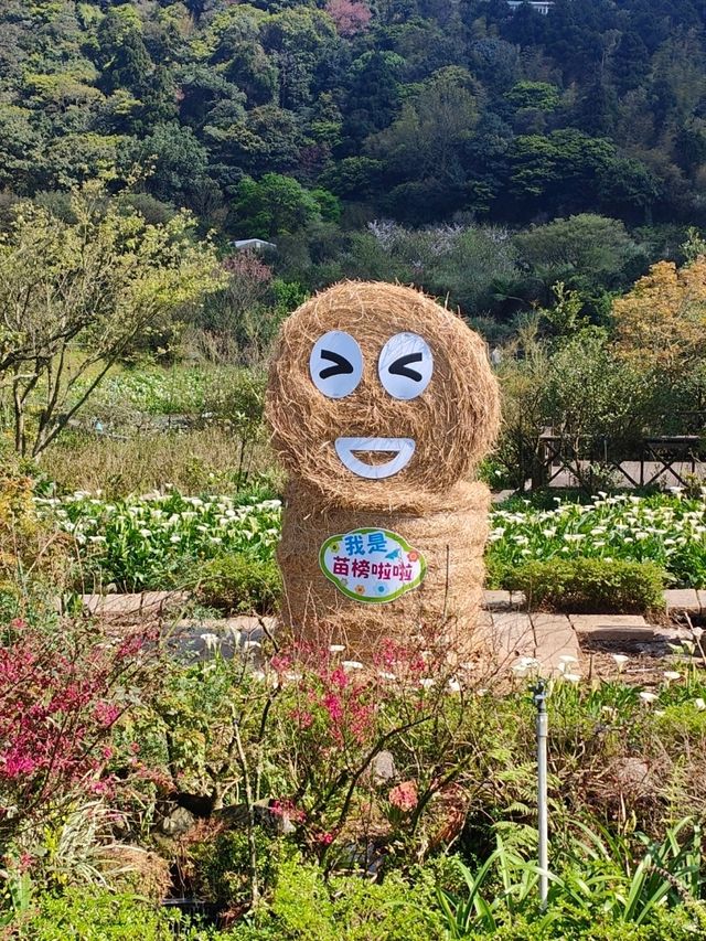 遠離塵囂忘憂好去處：陽明山苗榜海芋花園野菜餐廳🌿