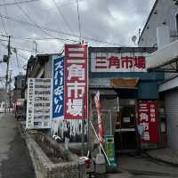 北海道旅行✨札幌&小樽の市場で朝食【二条市場& 小樽三角市場】