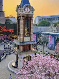 Shanghai City Walk & Spring Flower Viewing Guide 🌸
