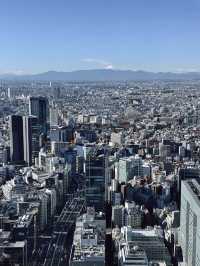 Shibuya Sky โตเกียว 360° แบบตะโกน