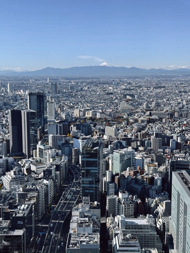 Shibuya Sky โตเกียว 360° แบบตะโกน