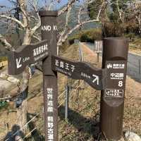 熊野古道 (Kumano Kodo, Wakayama) – 霊験あらたかな巡礼の道