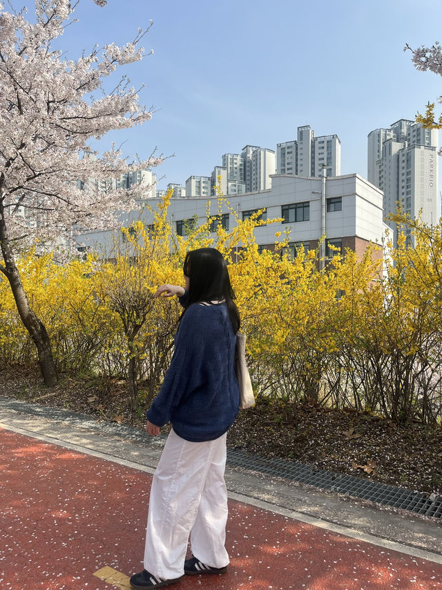 석촌호수말고 여기가세요!