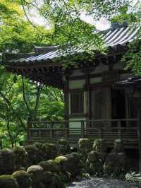 🍃 日本・京都【愛宕念仏寺】| 千体羅漢の不思議な世界