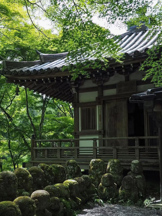🍃 日本・京都【愛宕念仏寺】| 千体羅漢の不思議な世界