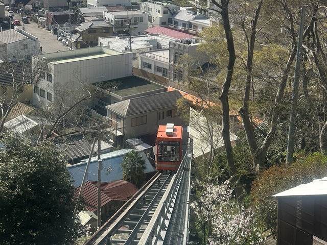 神秘的地方～櫻吹雪🌸