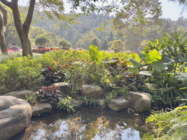  **🌸【廈門園林植物園】花卉園區：歐式花園裡的四季花海，邂逅浪漫與詩意！**  