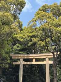 東京｜日比谷公園一日遊 🌸
