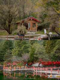 อุทยานน้ำหยก Lijiang Jade Water Village 