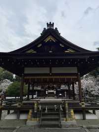 Rising Sun, Setting Hearts: My Japan Adventure