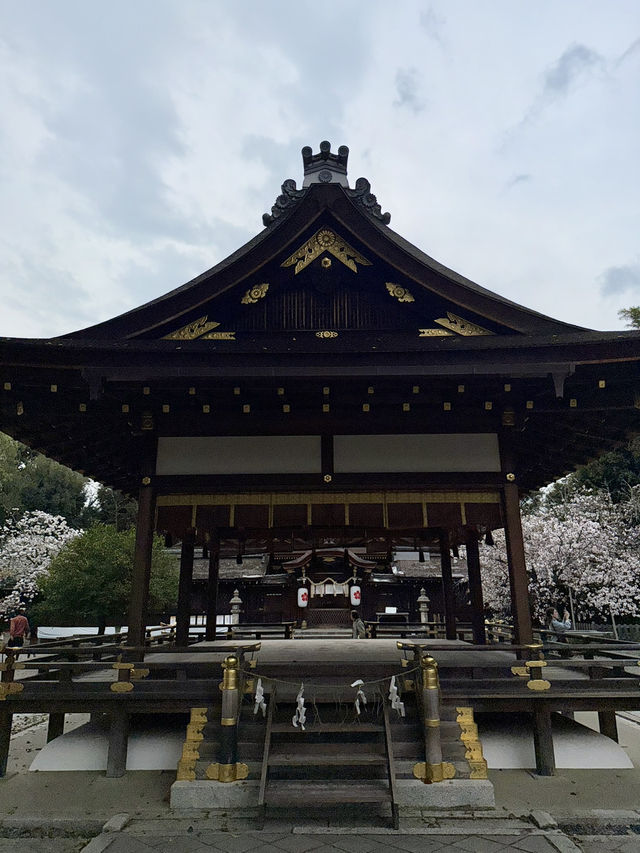 Rising Sun, Setting Hearts: My Japan Adventure