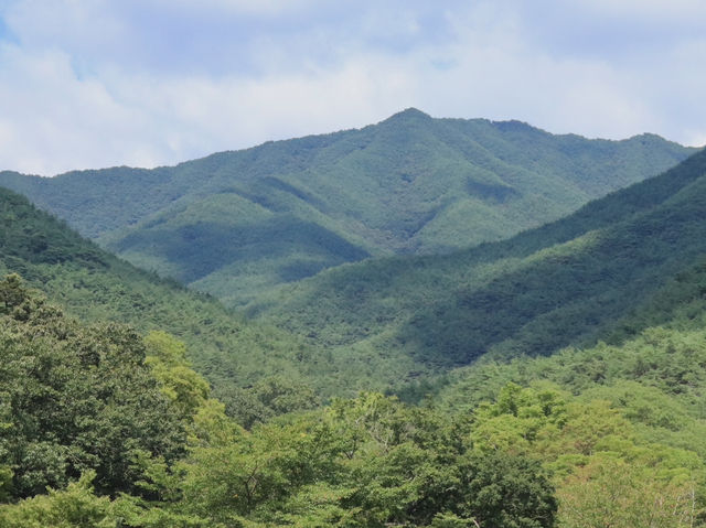 🌿 구례 천은사, 지리산 품에 안긴 고요한 쉼터