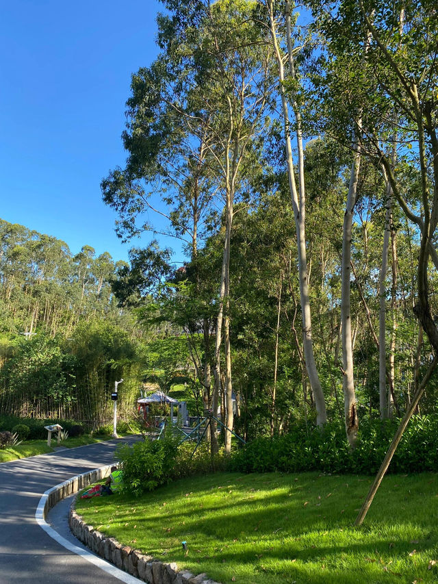 珠海紅花山森林公園,吸一口清新自由 珠海紅花山森林公園,吸一口清新自由