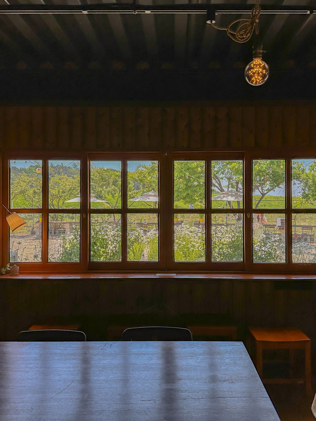 흙길 따라 도착한 마음 속 쉼터🌿🏡