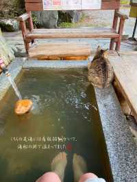 看板猫🐈がいる！？湯谷温泉の無料の足湯♨️