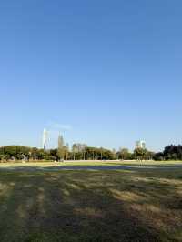 Spring Walk at Yumenoshima Park