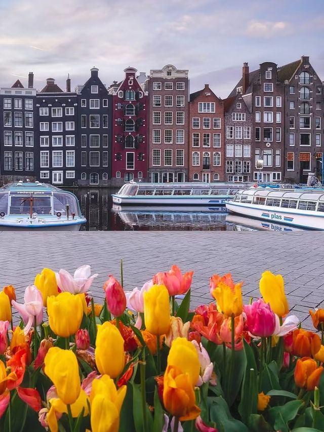 🇳🇱Amsterdam | A Budget-Friendly 1-Day City Walk Itinerary + Guide ✅